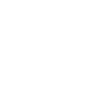 動画を再生する